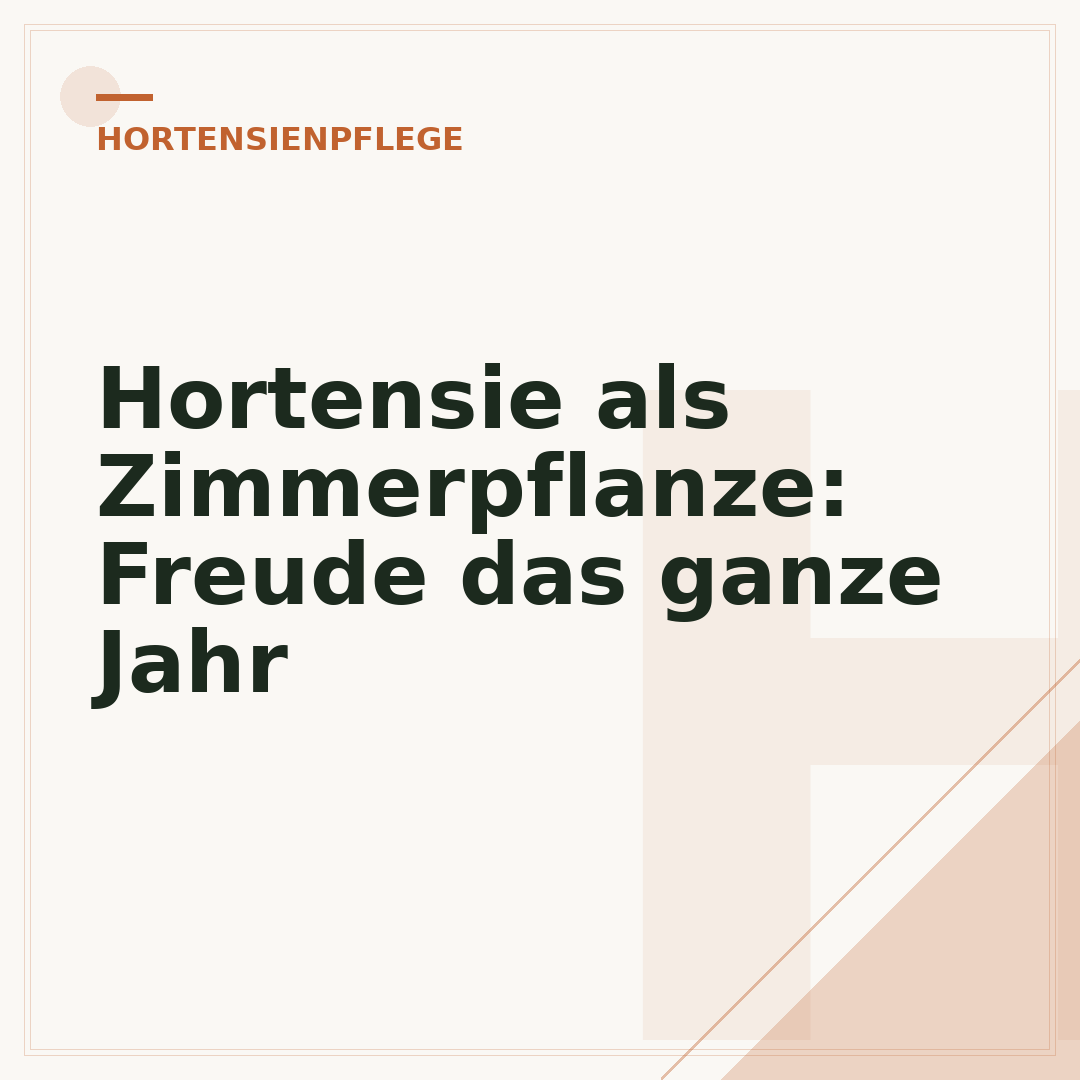 Hortensie als Zimmerpflanze: Freude das ganze Jahr