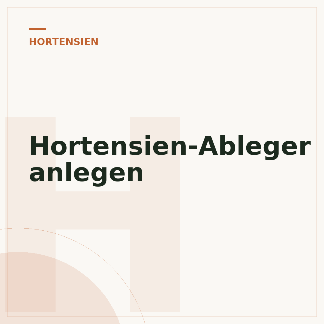 Hortensien-Ableger anlegen