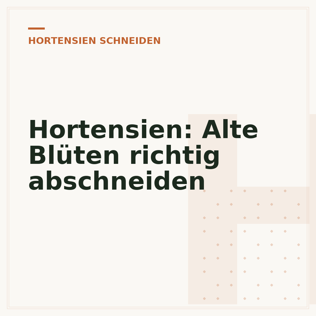 Hortensien: Alte Blüten richtig abschneiden