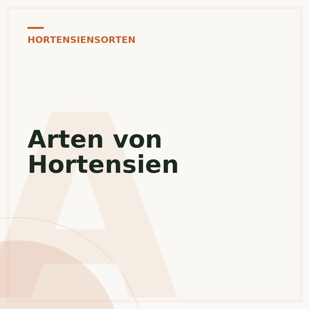 Arten von Hortensien