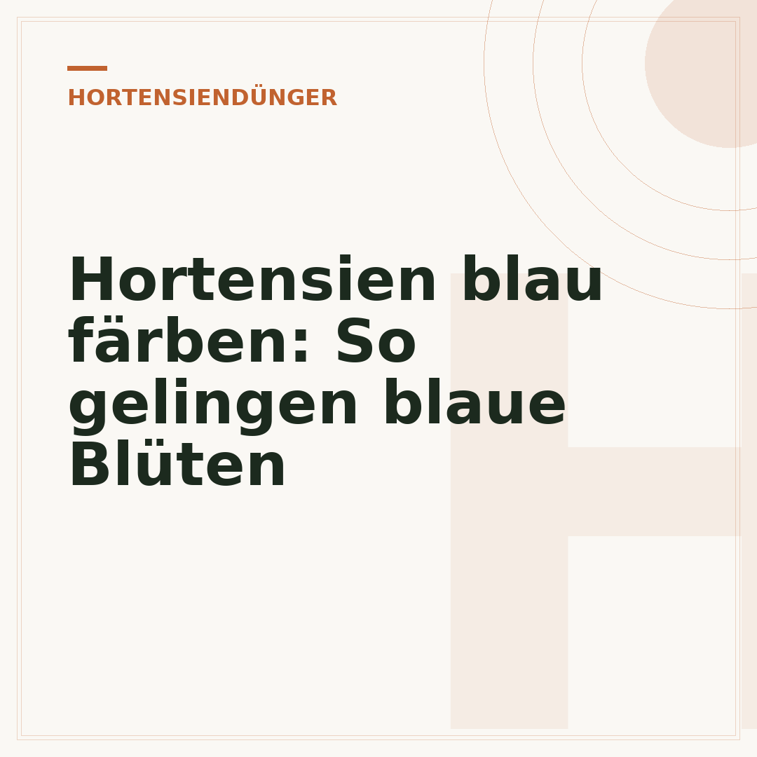 Hortensien blau färben: So gelingen blaue Blüten
