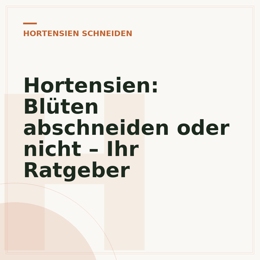 Hortensien: Blüten abschneiden oder nicht – Ihr Ratgeber