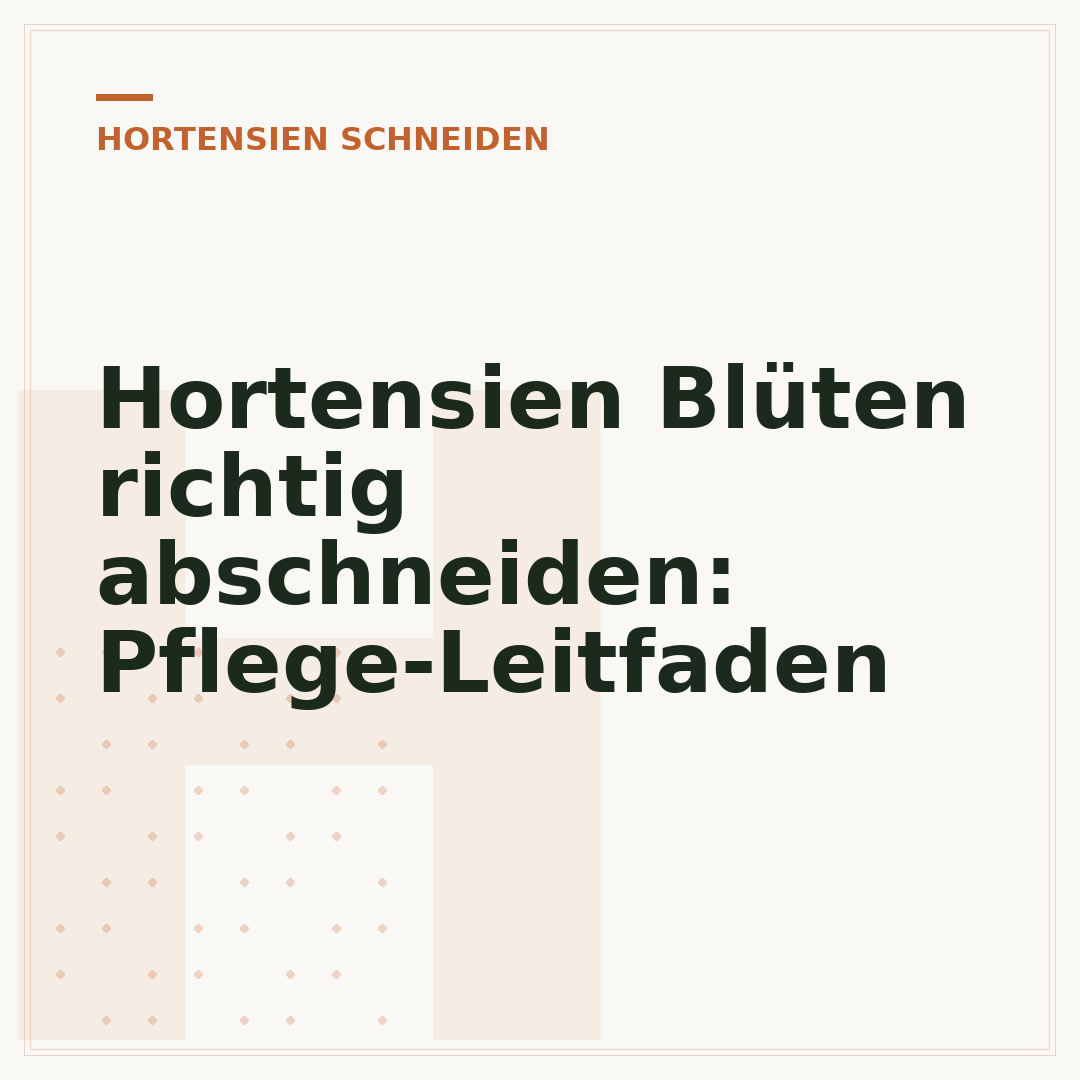 Hortensien Blüten richtig abschneiden: Pflege-Leitfaden