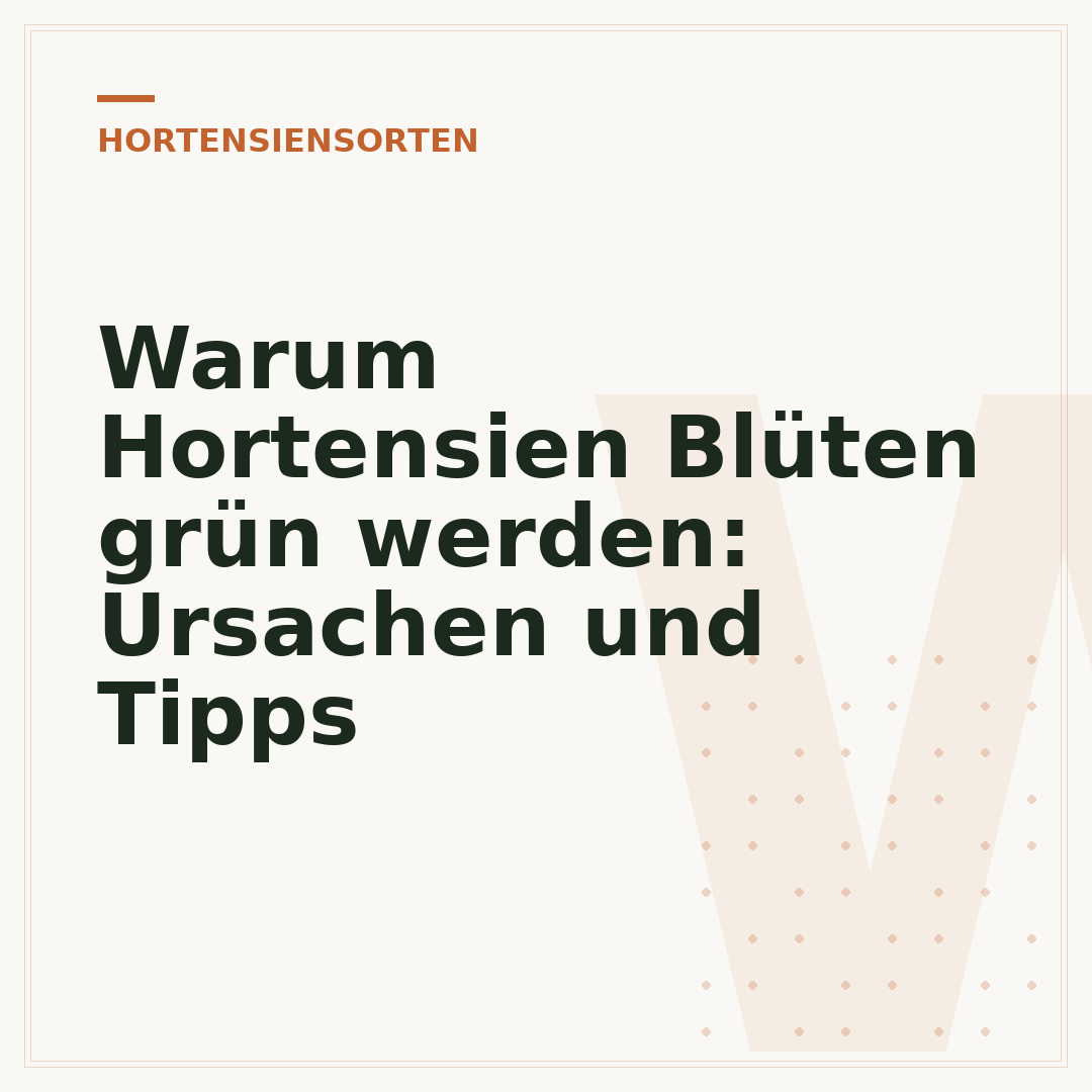 Warum Hortensien Blüten grün werden: Ursachen und Tipps
