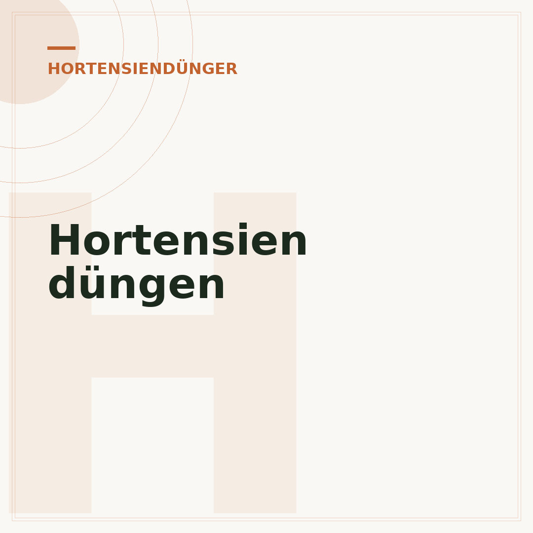 Hortensien düngen