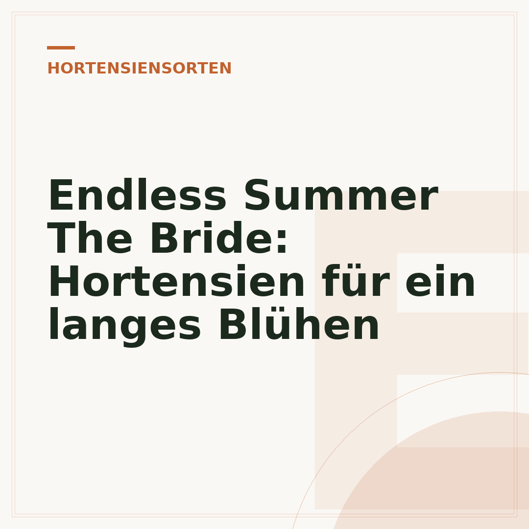 Endless Summer The Bride: Hortensien für ein langes Blühen