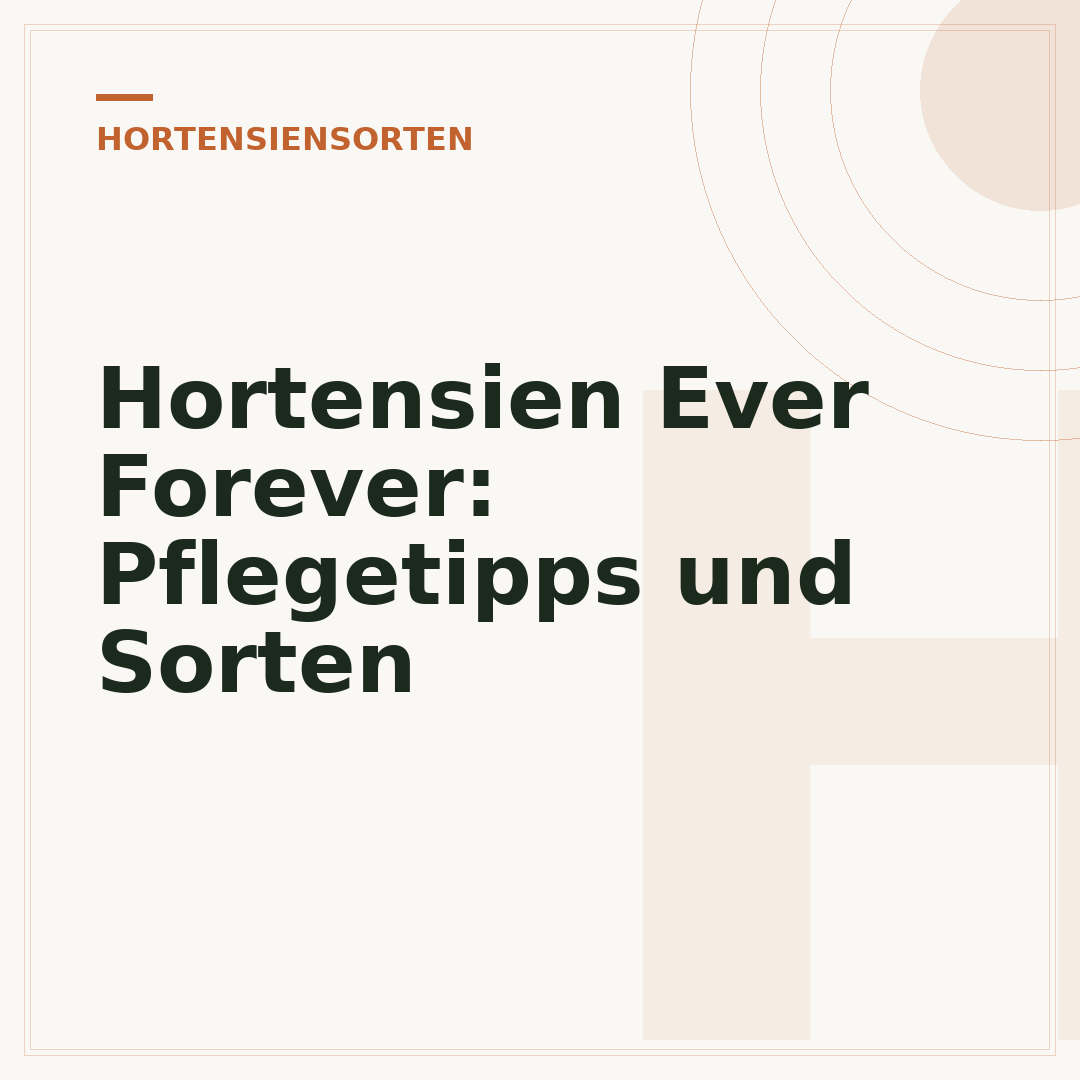 Hortensien Ever Forever: Pflegetipps und Sorten