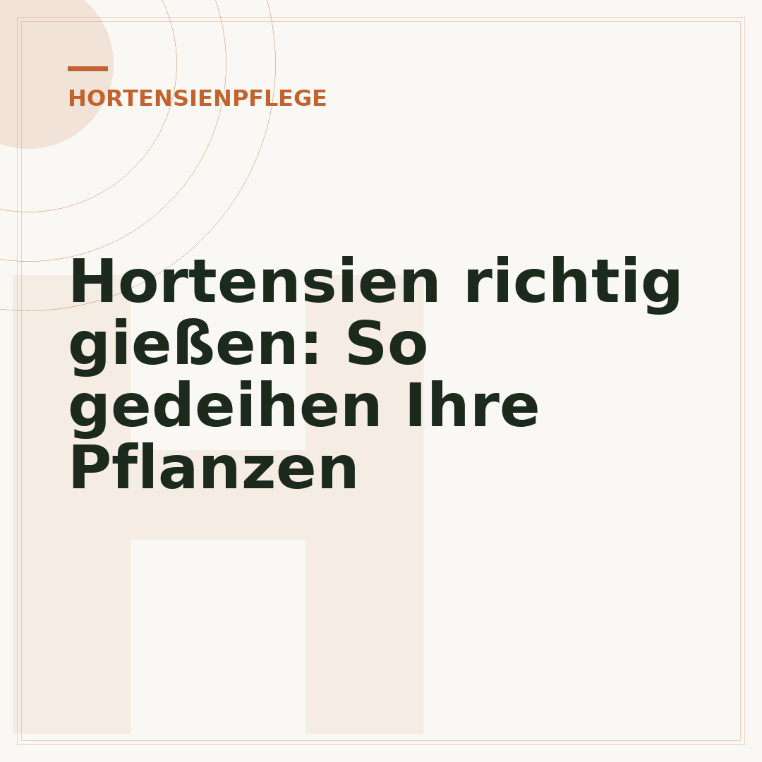 Hortensien richtig gießen: So gedeihen Ihre Pflanzen