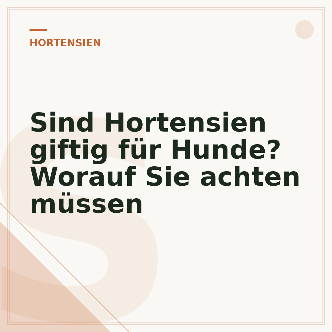 Sind Hortensien giftig für Hunde? Worauf Sie achten müssen