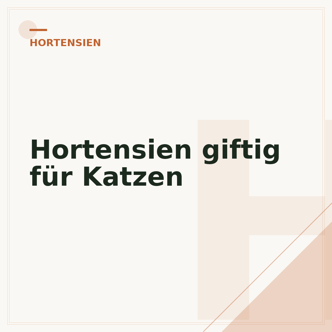 Hortensien giftig für Katzen