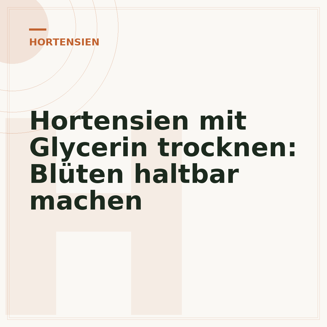 Hortensien mit Glycerin trocknen: Blüten haltbar machen