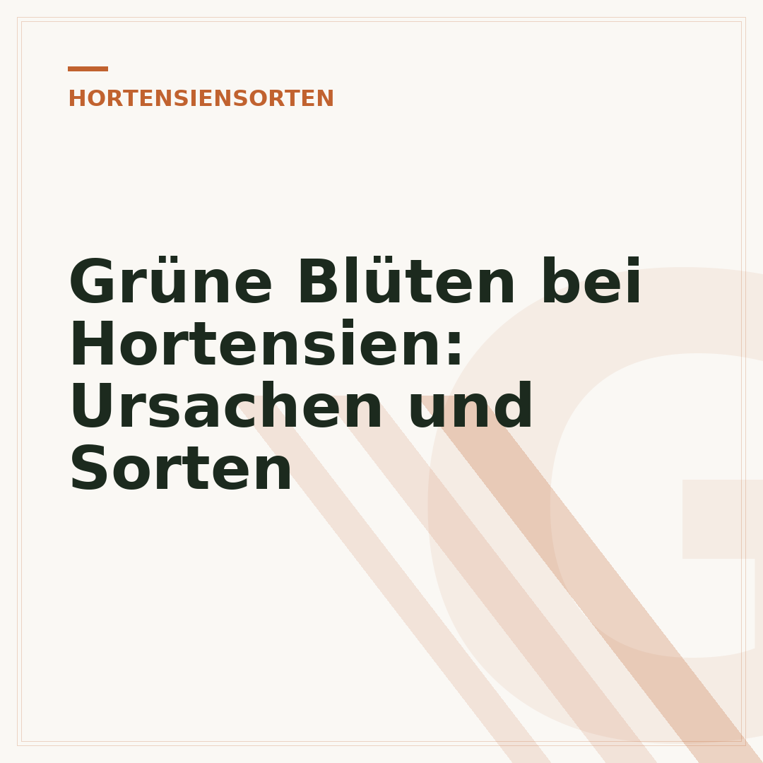 Grüne Blüten bei Hortensien: Ursachen und Sorten