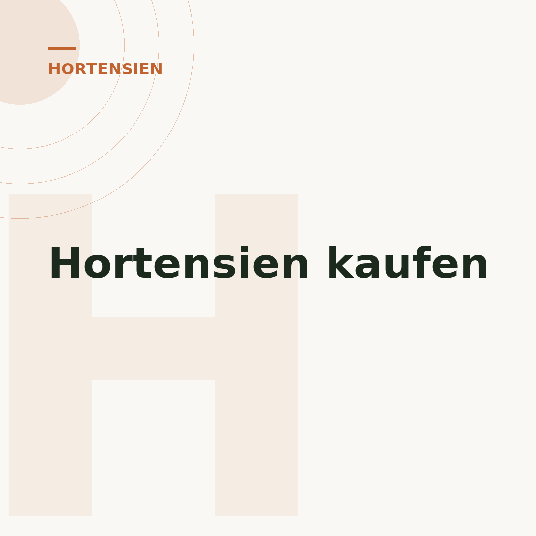 Hortensien kaufen