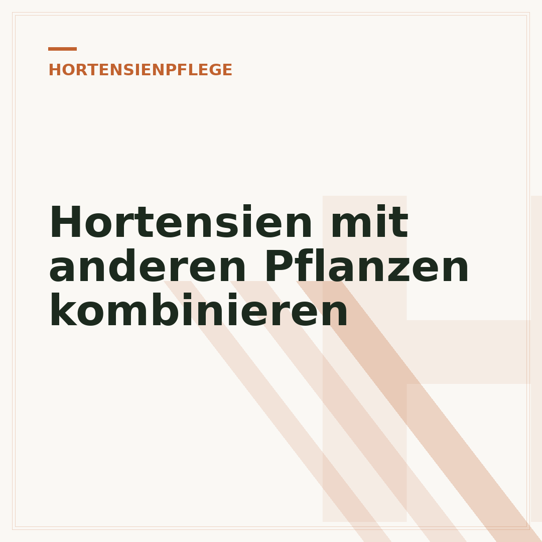 Hortensien mit anderen Pflanzen kombinieren