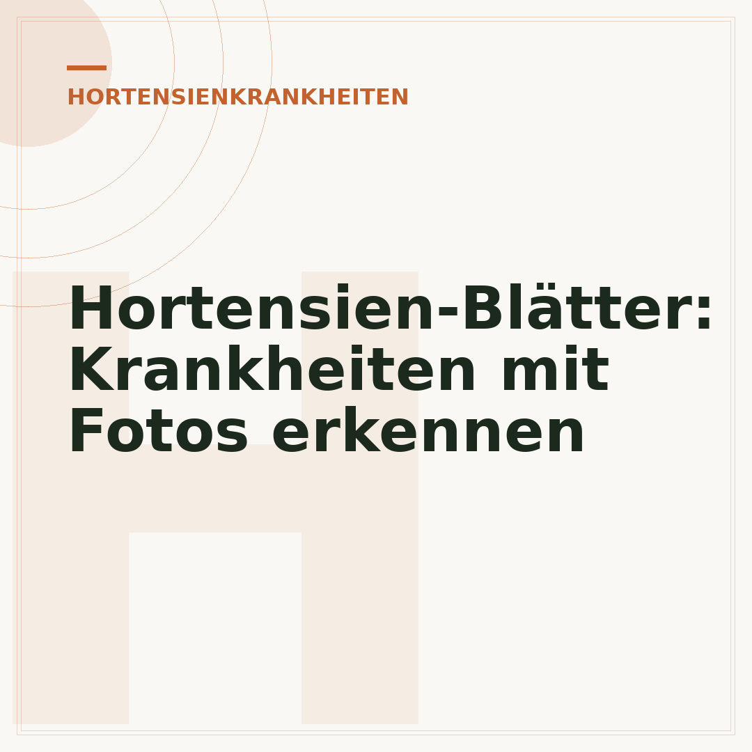 Hortensien-Blätter: Krankheiten mit Fotos erkennen