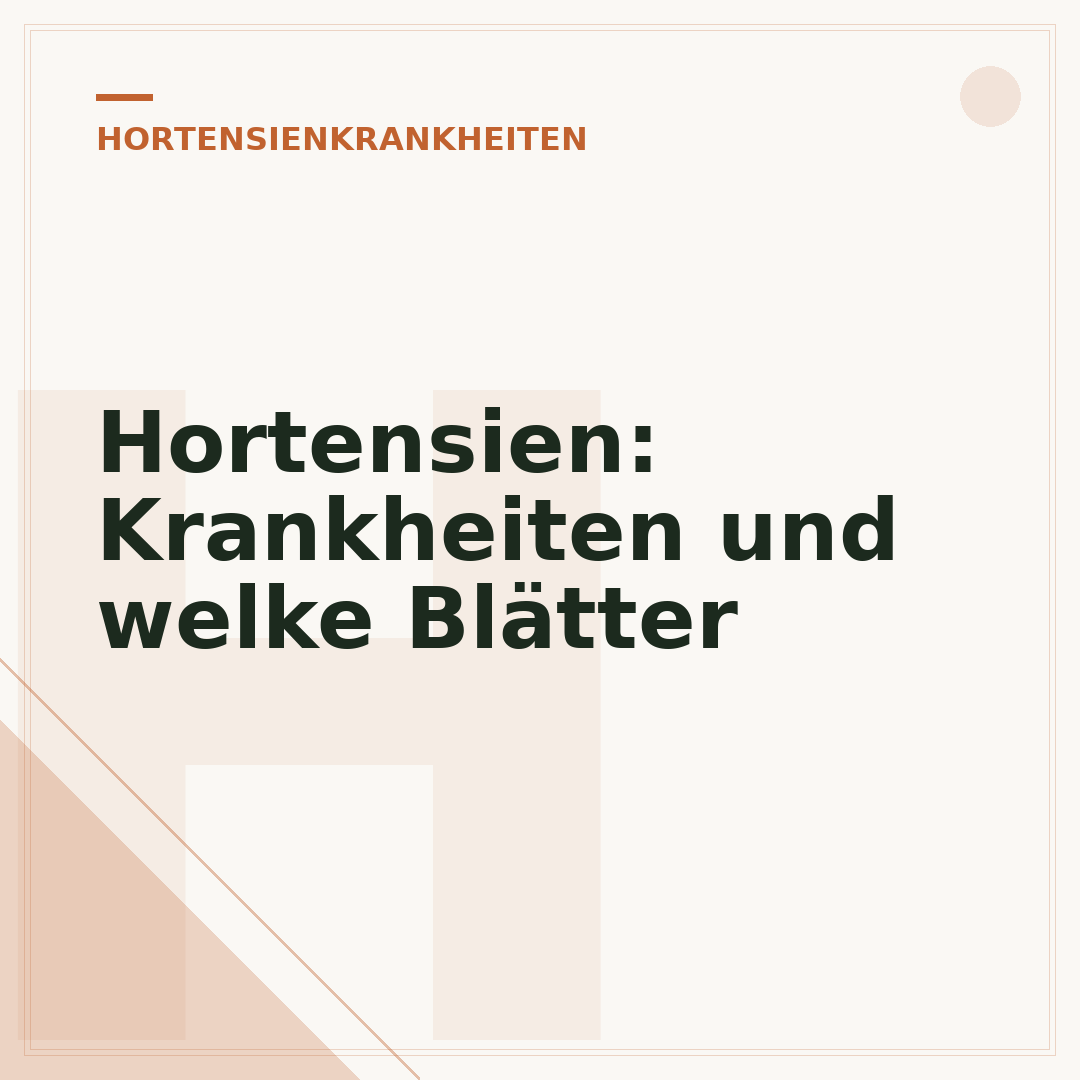 Hortensien: Krankheiten und welke Blätter