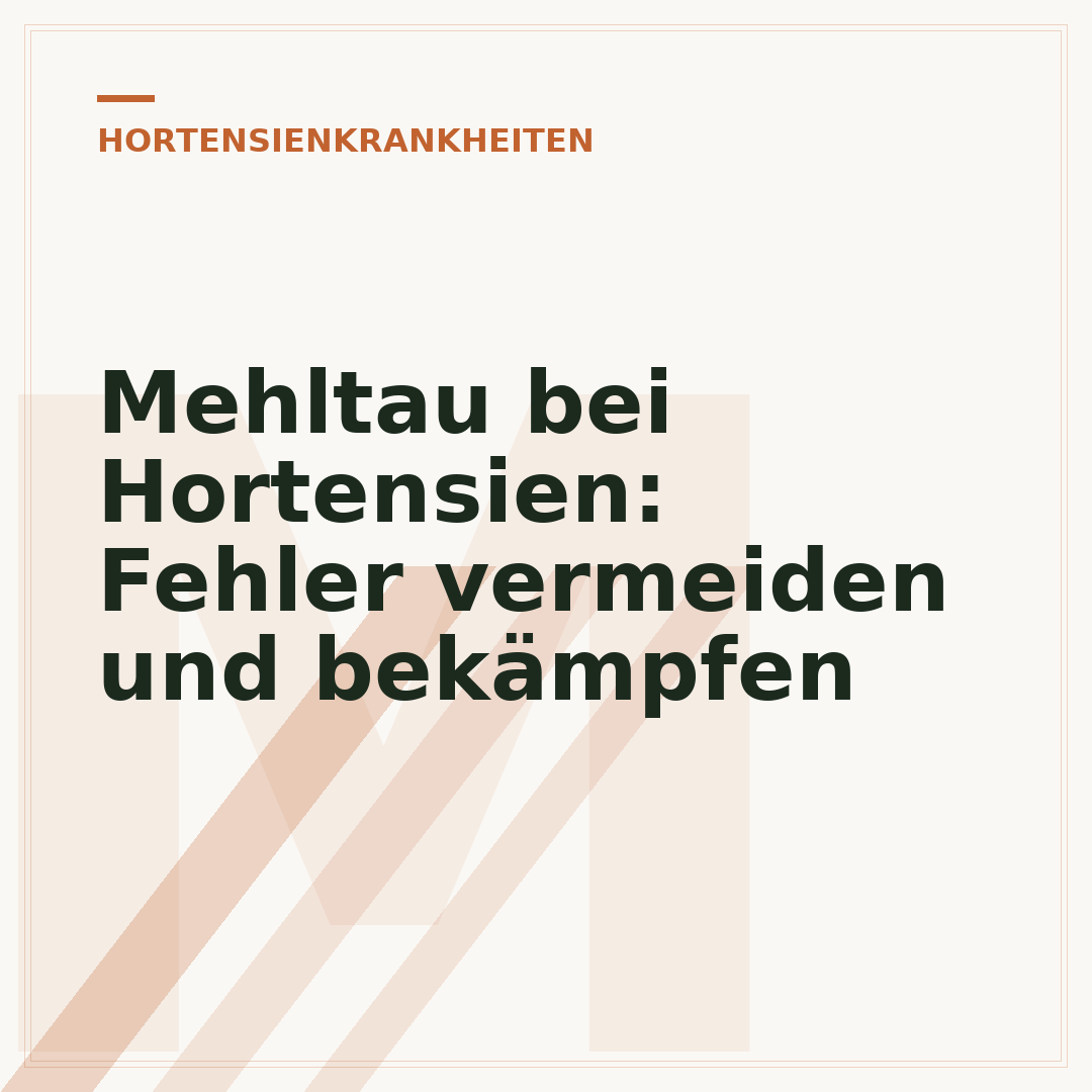 Mehltau bei Hortensien: Fehler vermeiden und bekämpfen