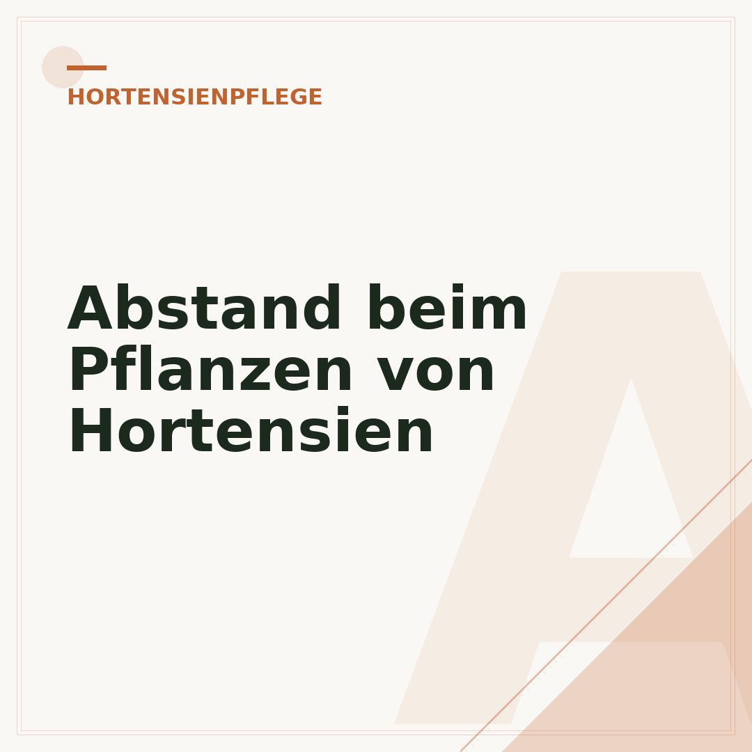 Abstand beim Pflanzen von Hortensien