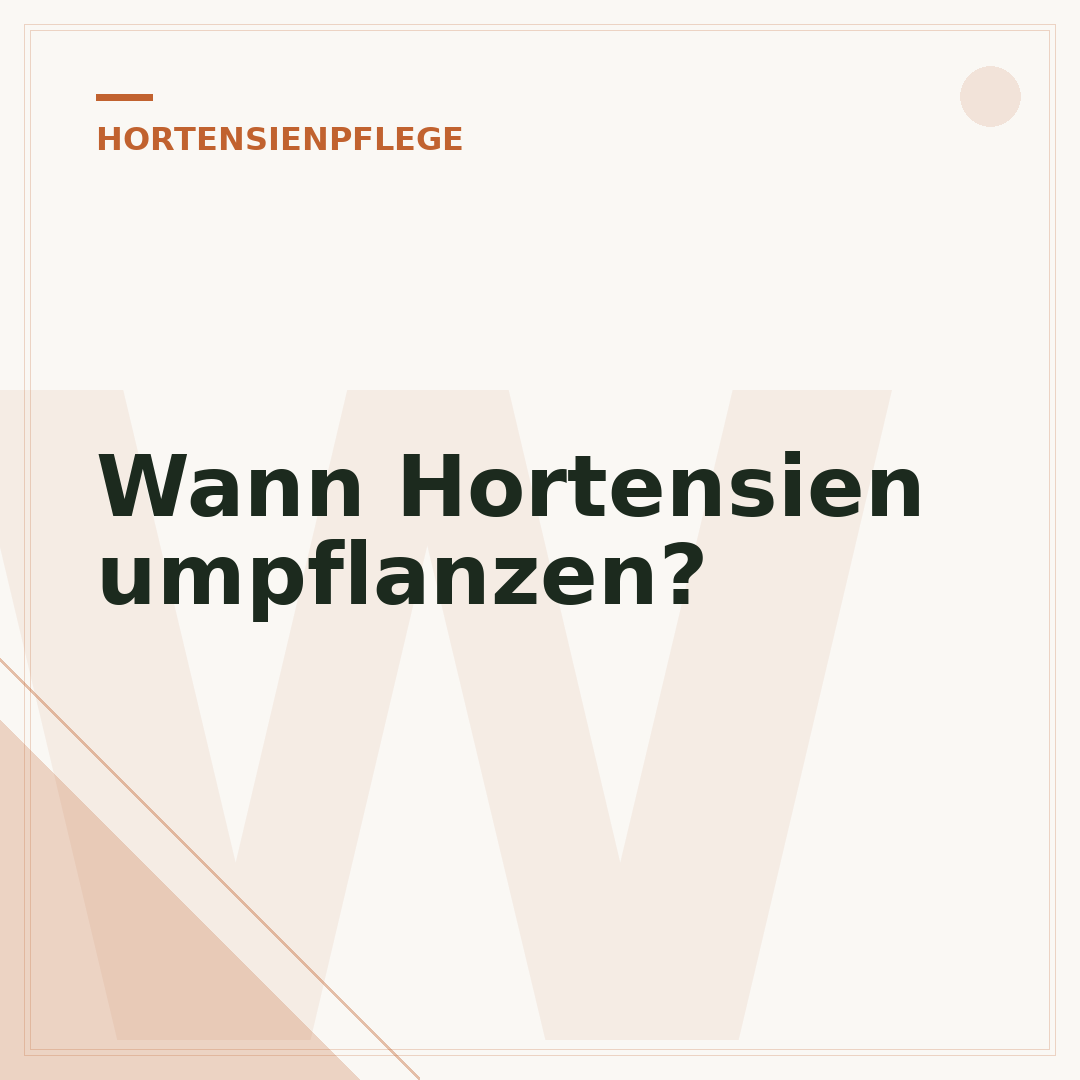 Wann Hortensien umpflanzen?