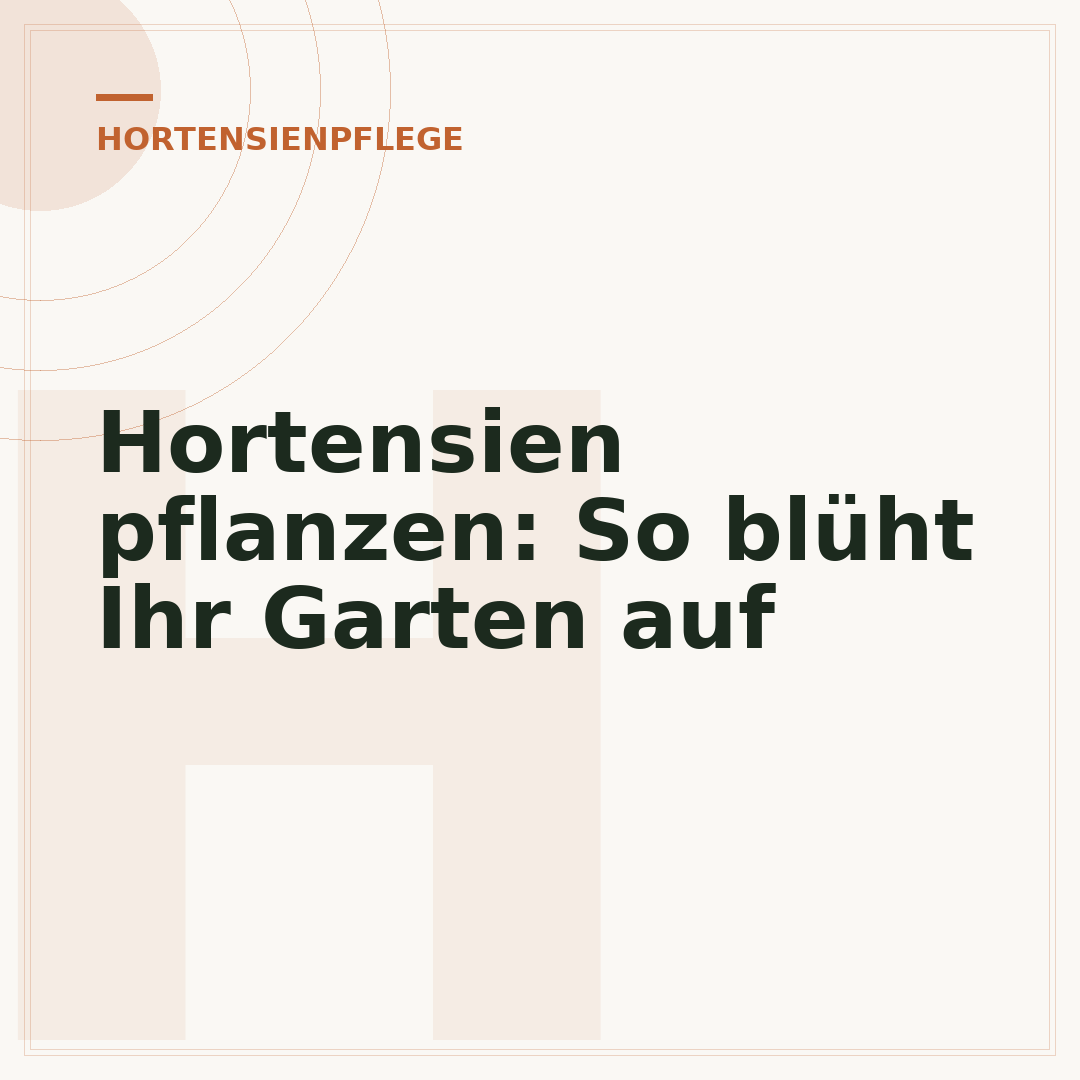 Hortensien pflanzen: So blüht Ihr Garten auf