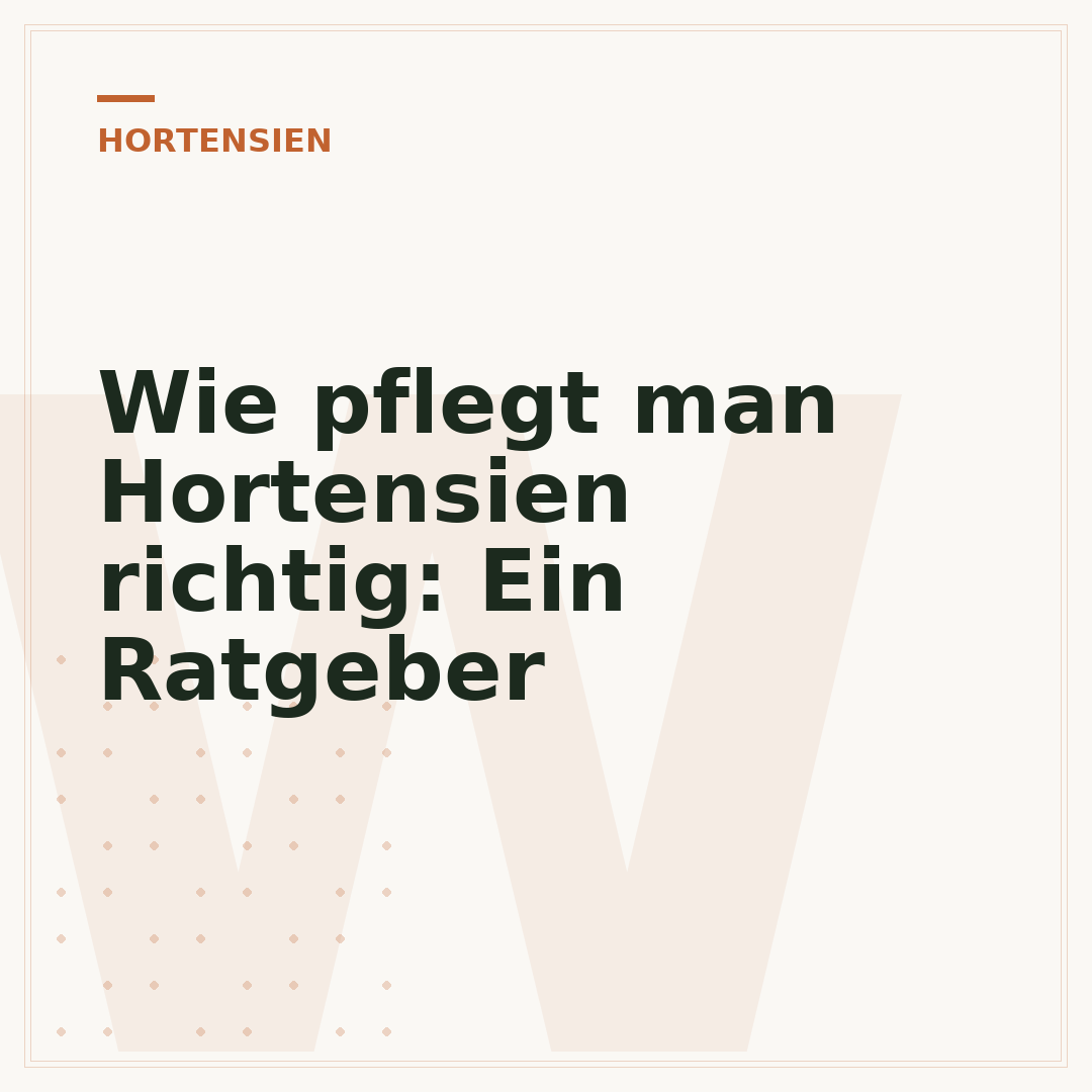 Wie pflegt man Hortensien richtig: Ein Ratgeber