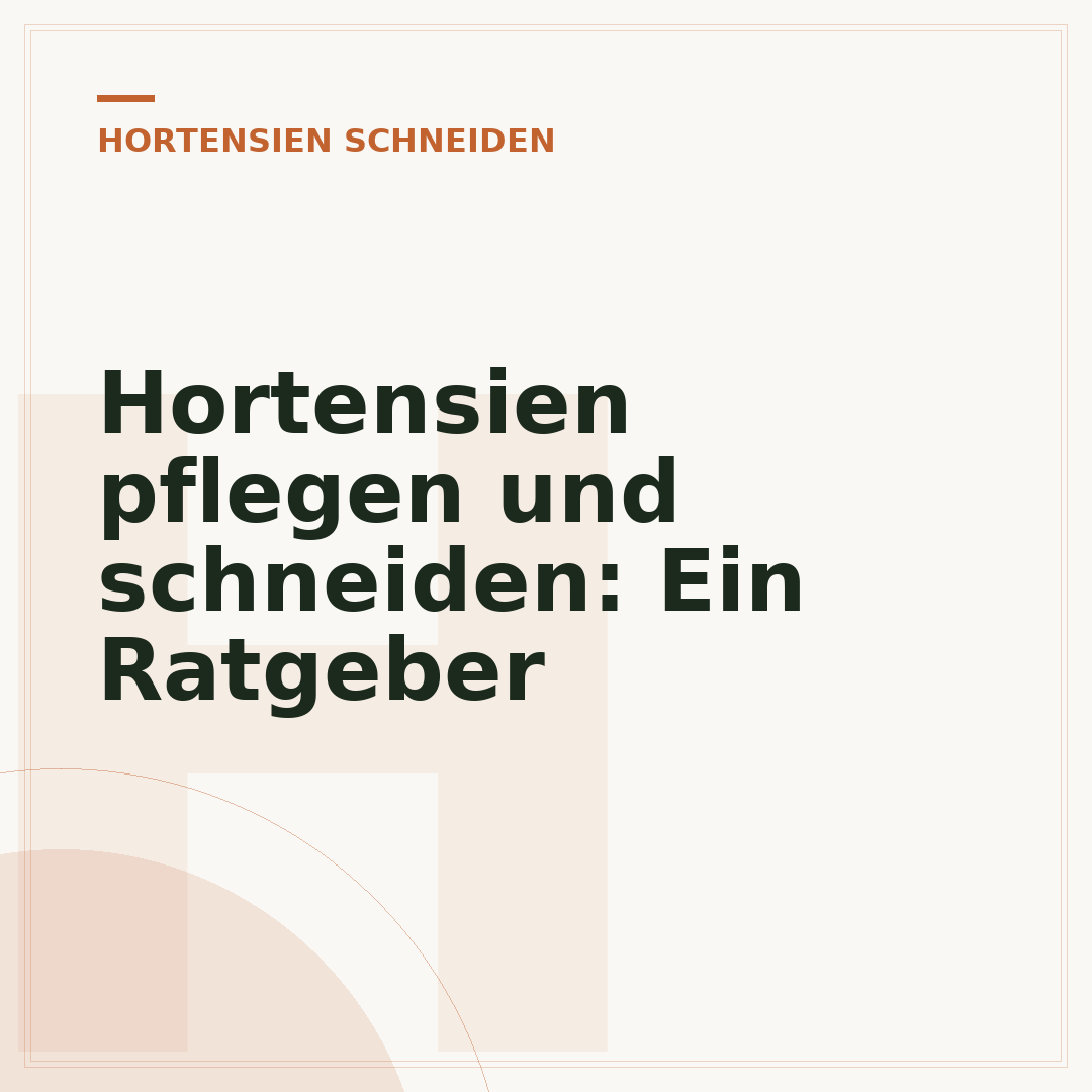 Hortensien pflegen und schneiden: Ein Ratgeber