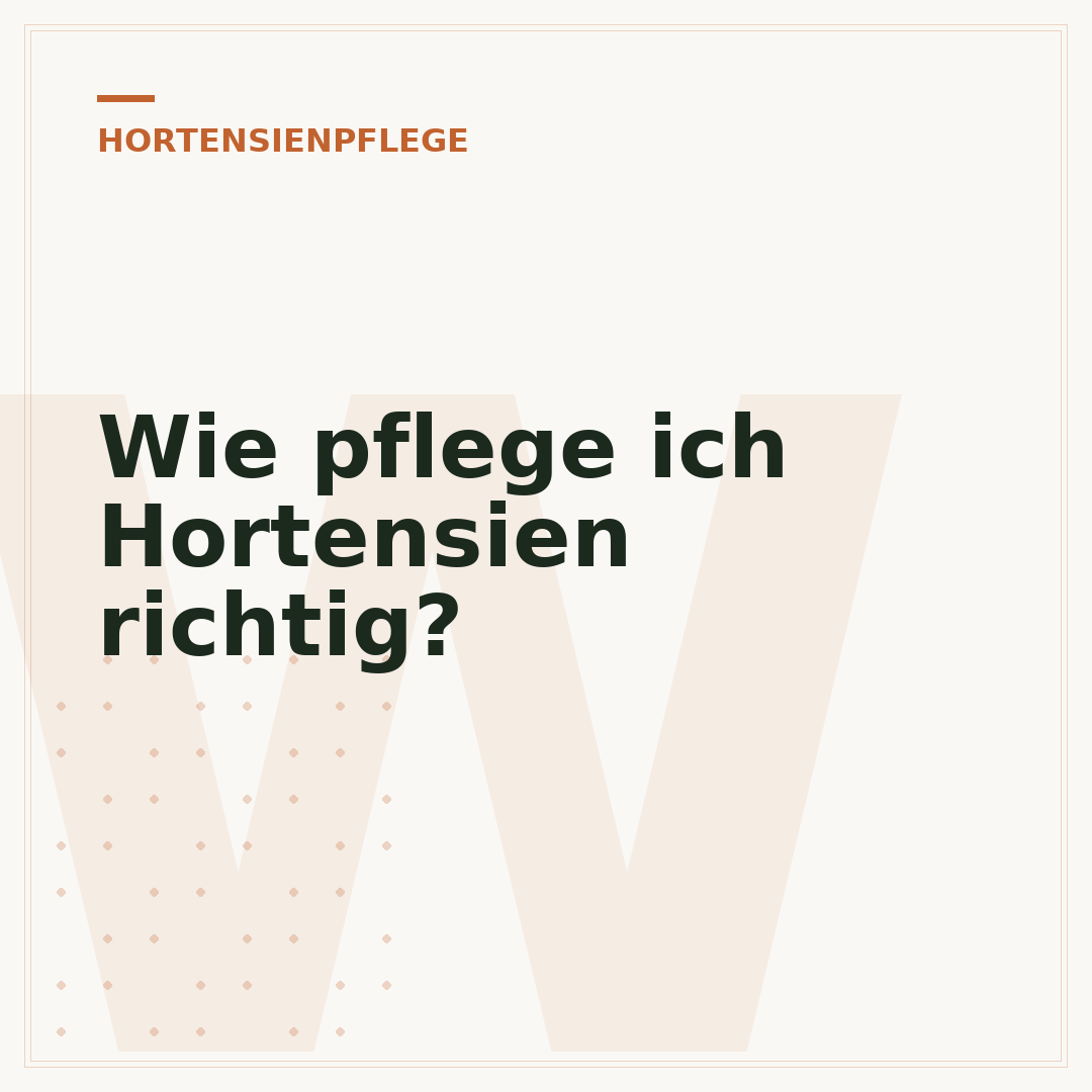Wie pflege ich Hortensien richtig?