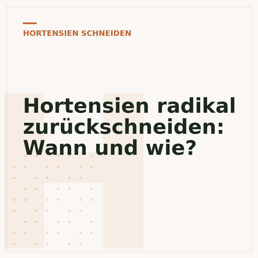 Hortensien radikal zurückschneiden: Wann und wie?
