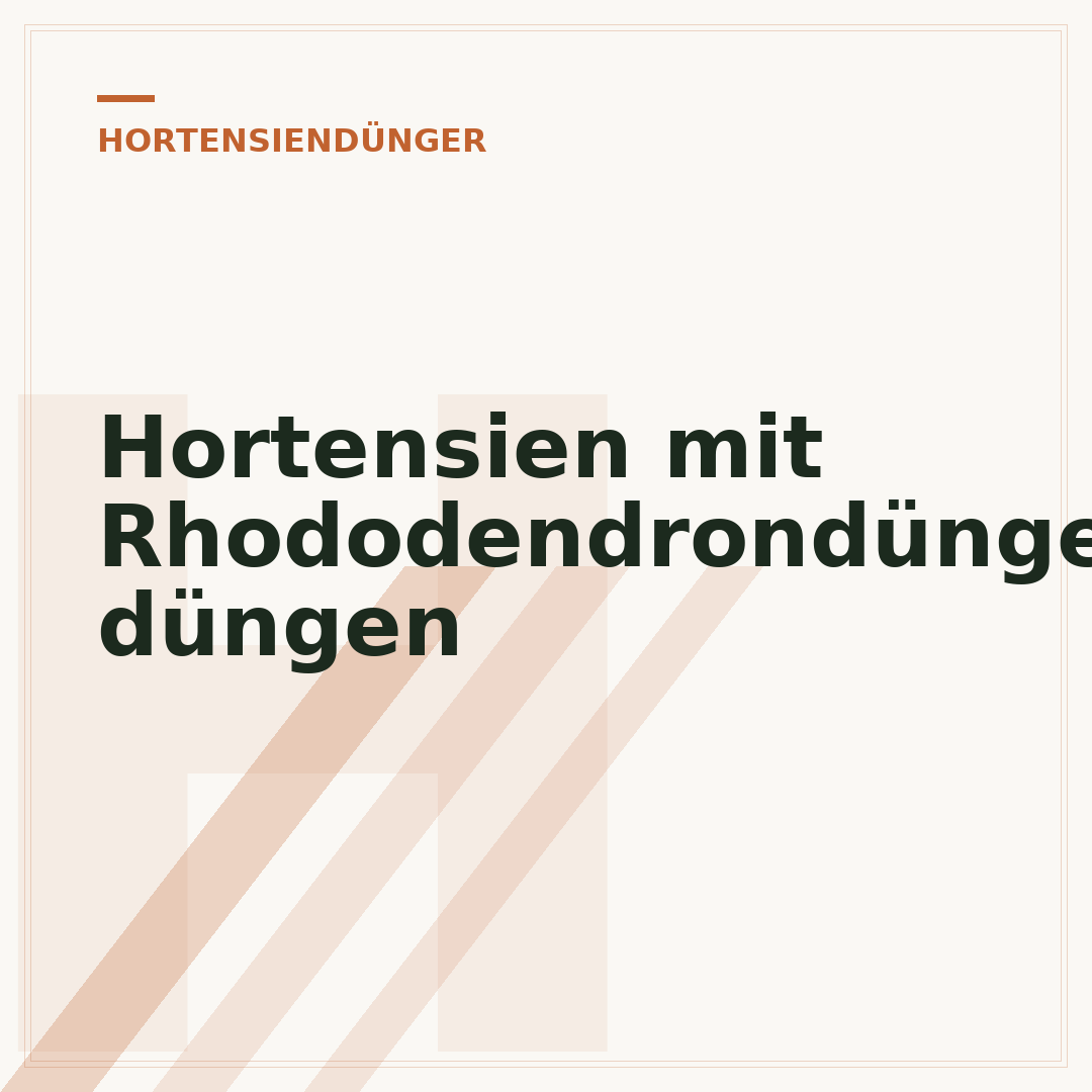 Hortensien mit Rhododendrondünger düngen