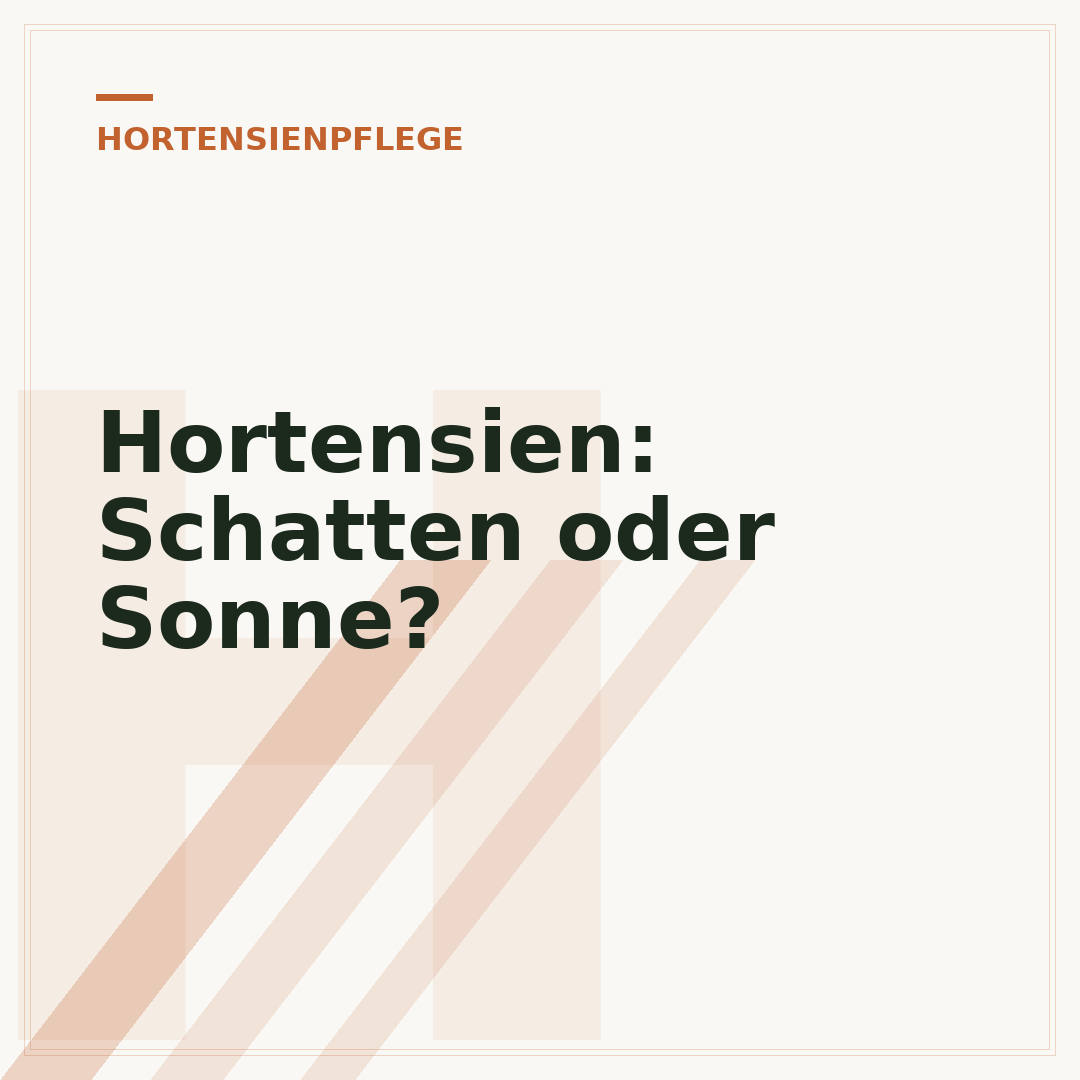 Hortensien: Schatten oder Sonne?