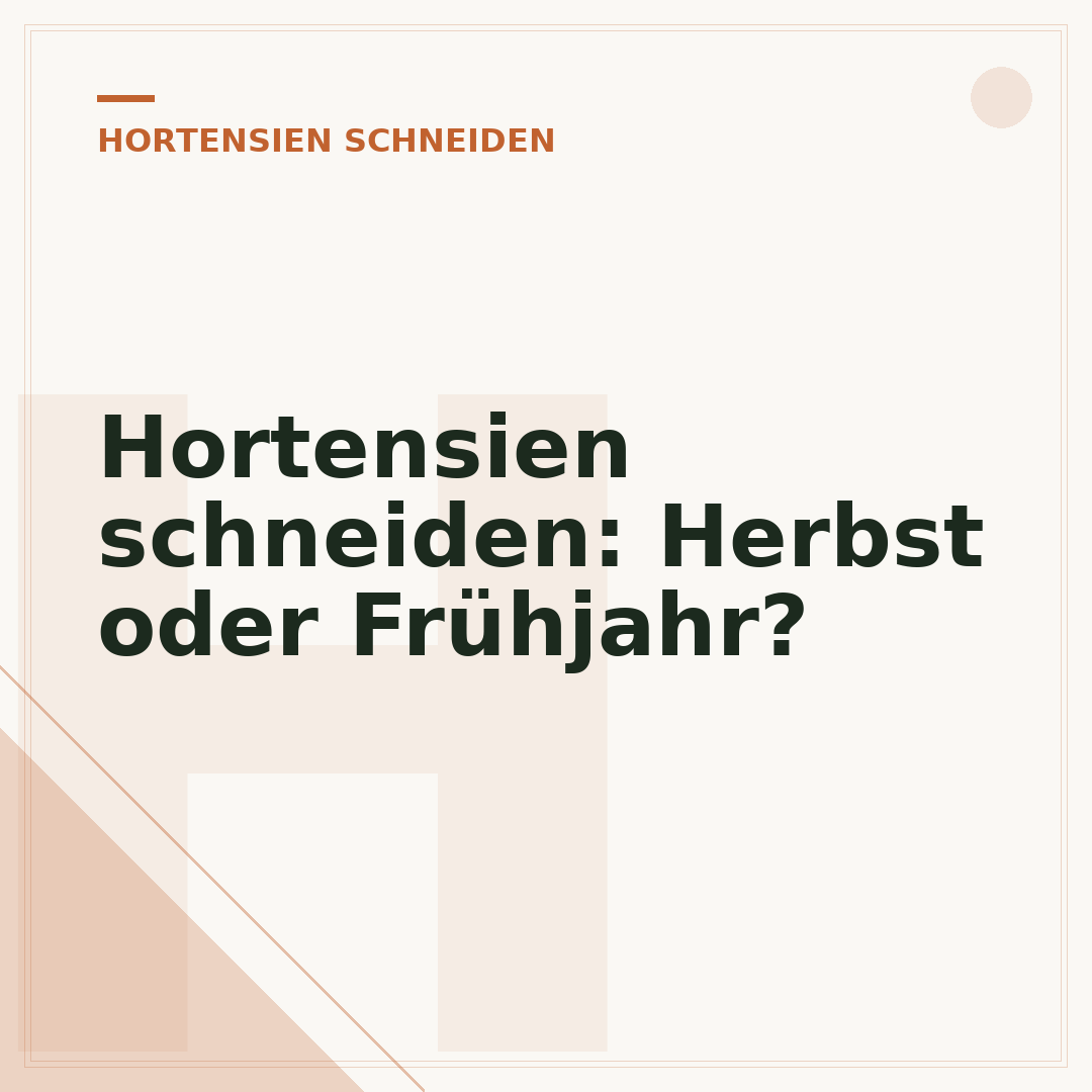 Hortensien schneiden: Herbst oder Frühjahr?