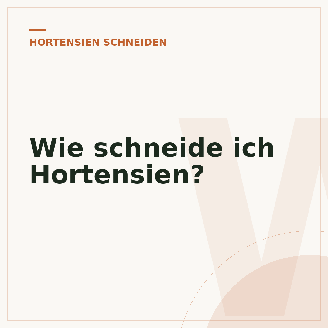 Wie schneide ich Hortensien?