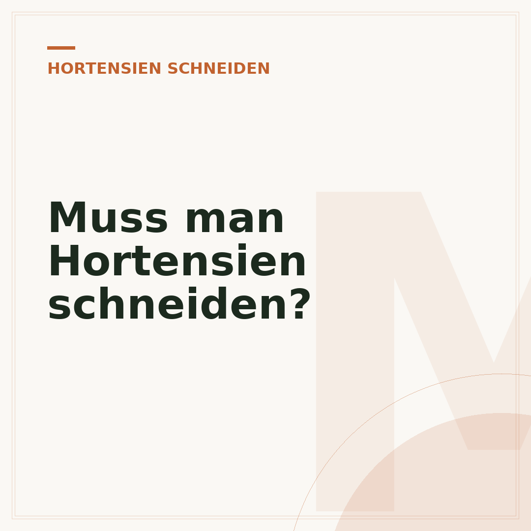 Muss man Hortensien schneiden?