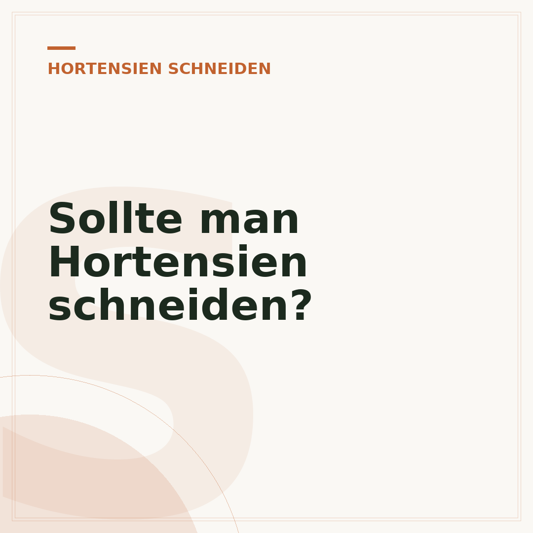 Sollte man Hortensien schneiden?