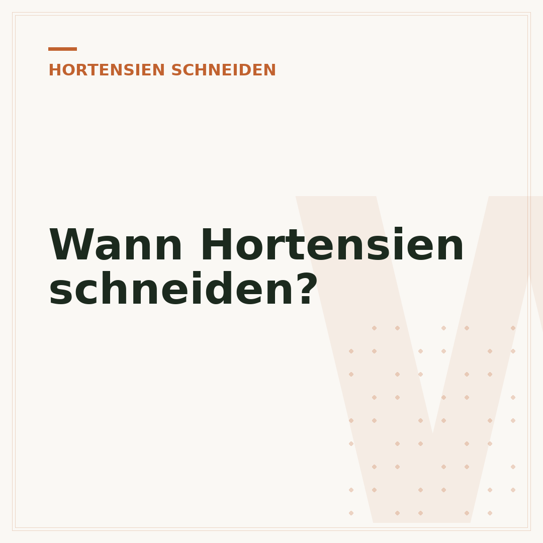 Wann Hortensien schneiden?