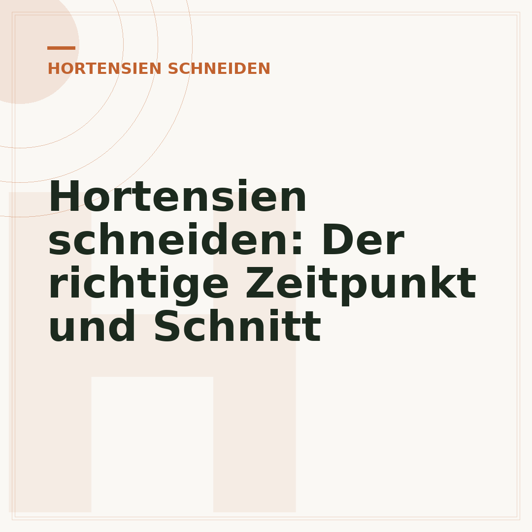 Hortensien schneiden: Der richtige Zeitpunkt und Schnitt