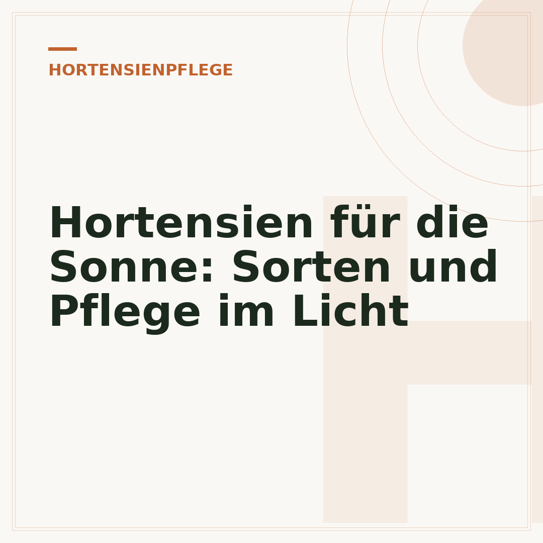 Hortensien für die Sonne: Sorten und Pflege im Licht