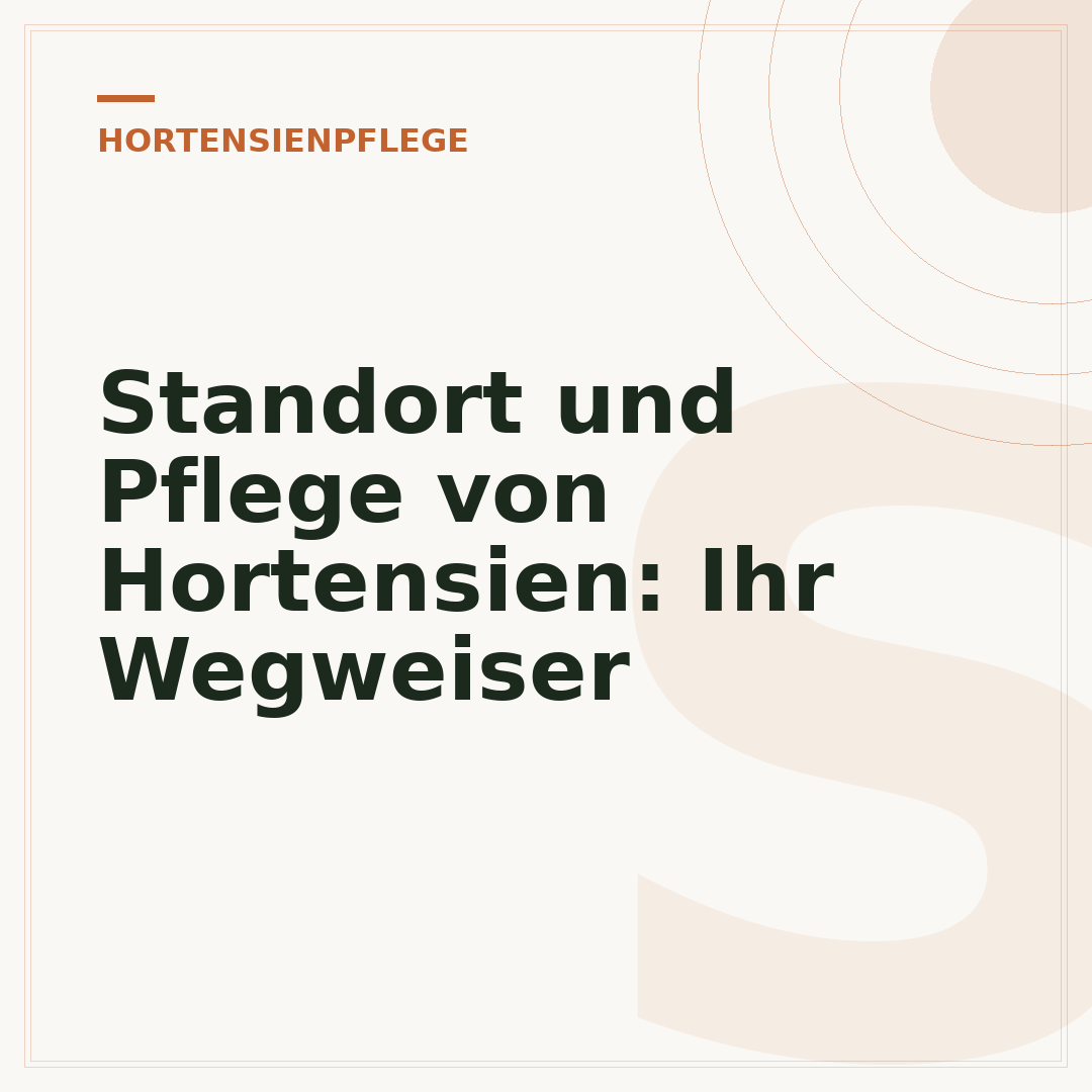 Standort und Pflege von Hortensien: Ihr Wegweiser