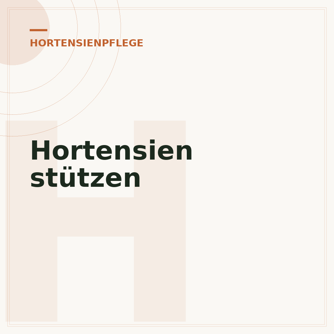 Hortensien stützen