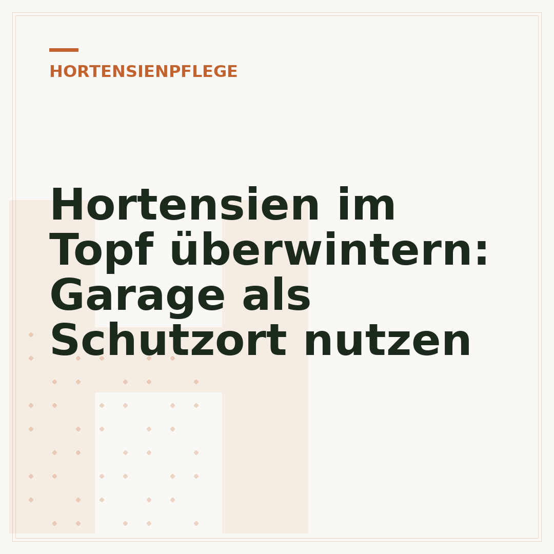 Hortensien im Topf überwintern: Garage als Schutzort nutzen
