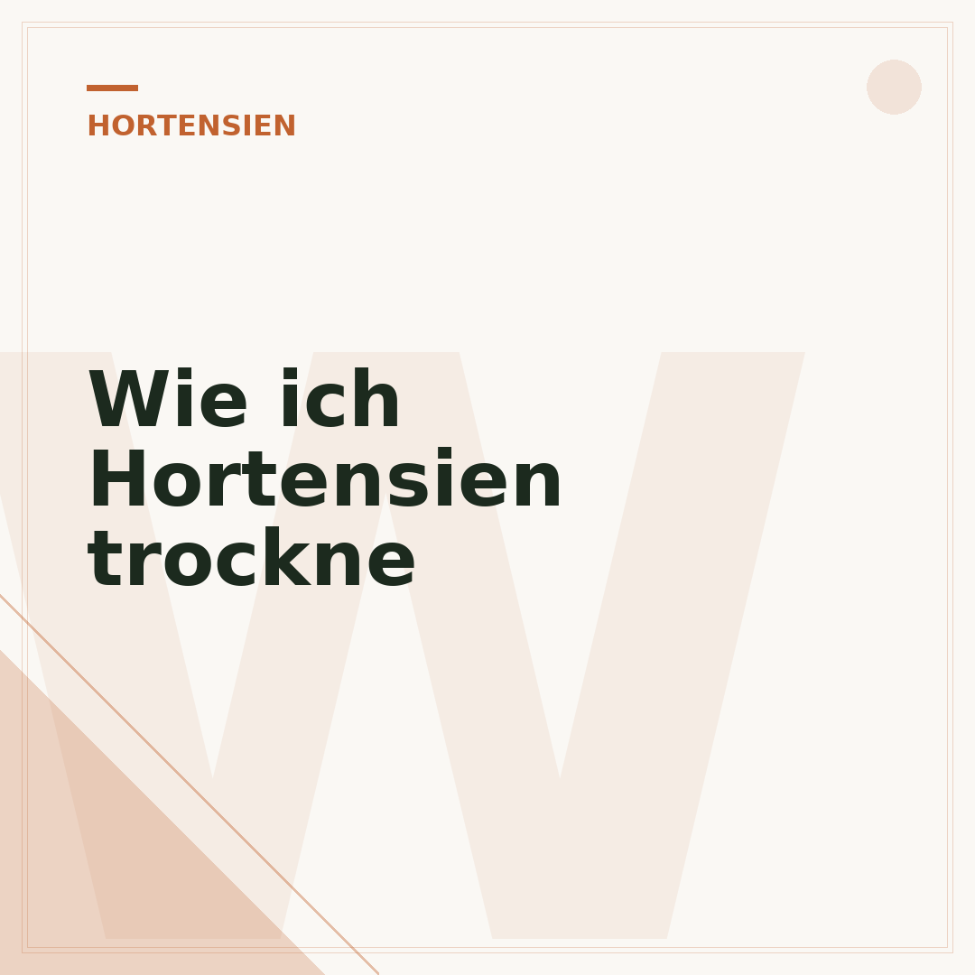 Wie ich Hortensien trockne