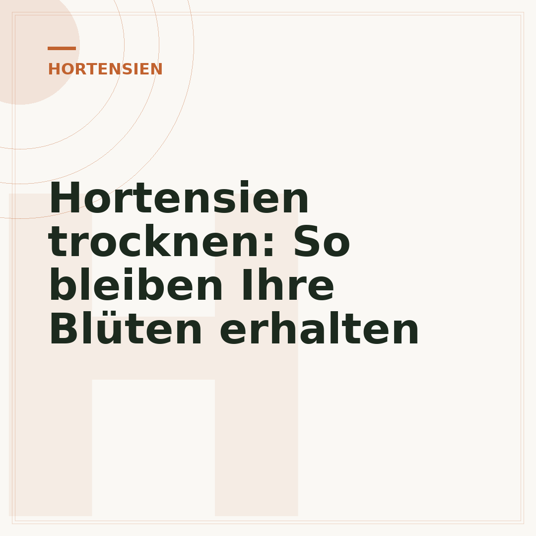 Hortensien trocknen: So bleiben Ihre Blüten erhalten