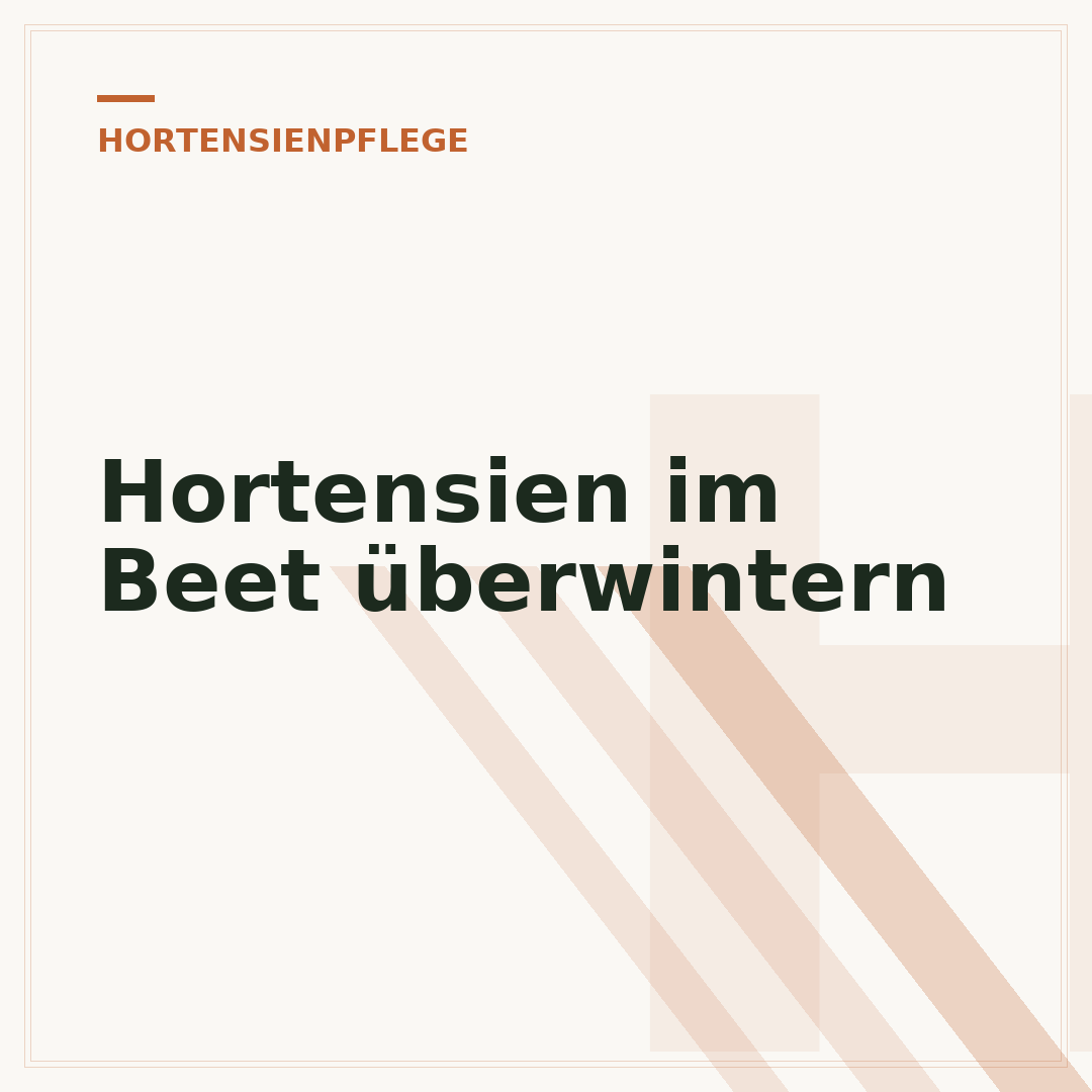 Hortensien im Beet überwintern