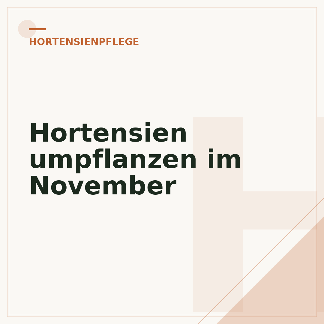 Hortensien umpflanzen im November