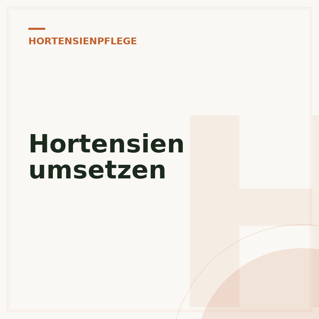 Hortensien umsetzen