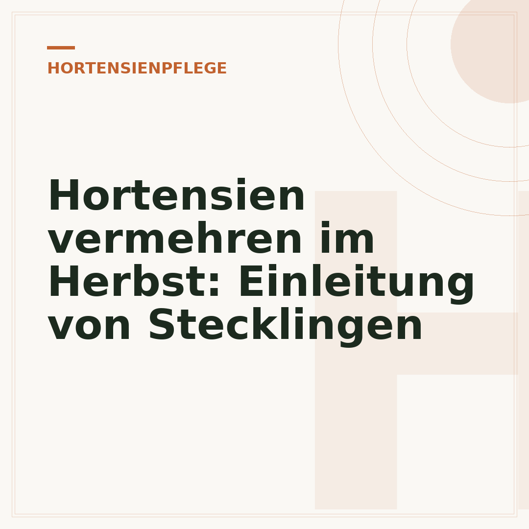 Hortensien vermehren im Herbst: Einleitung von Stecklingen