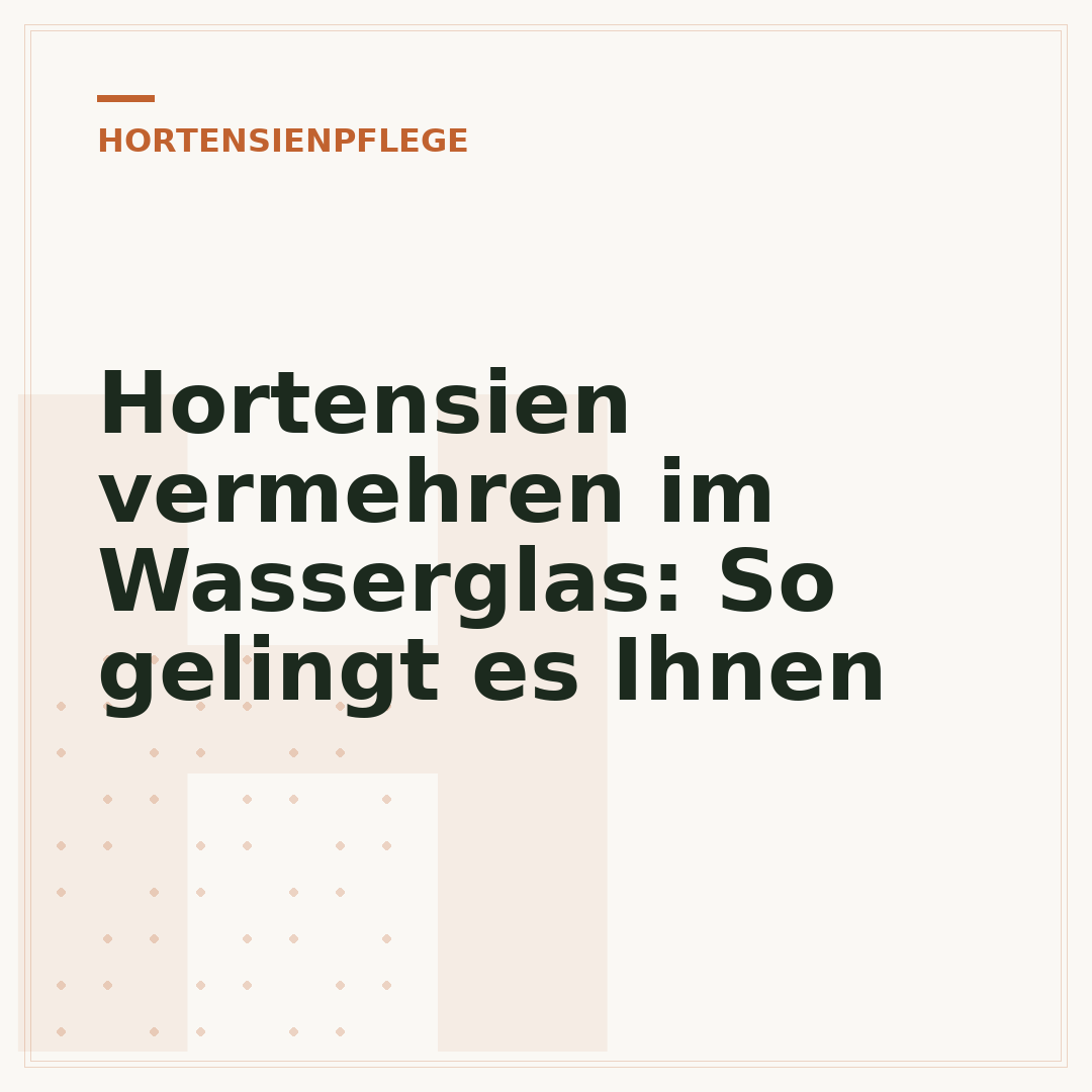 Hortensien vermehren im Wasserglas: So gelingt es Ihnen