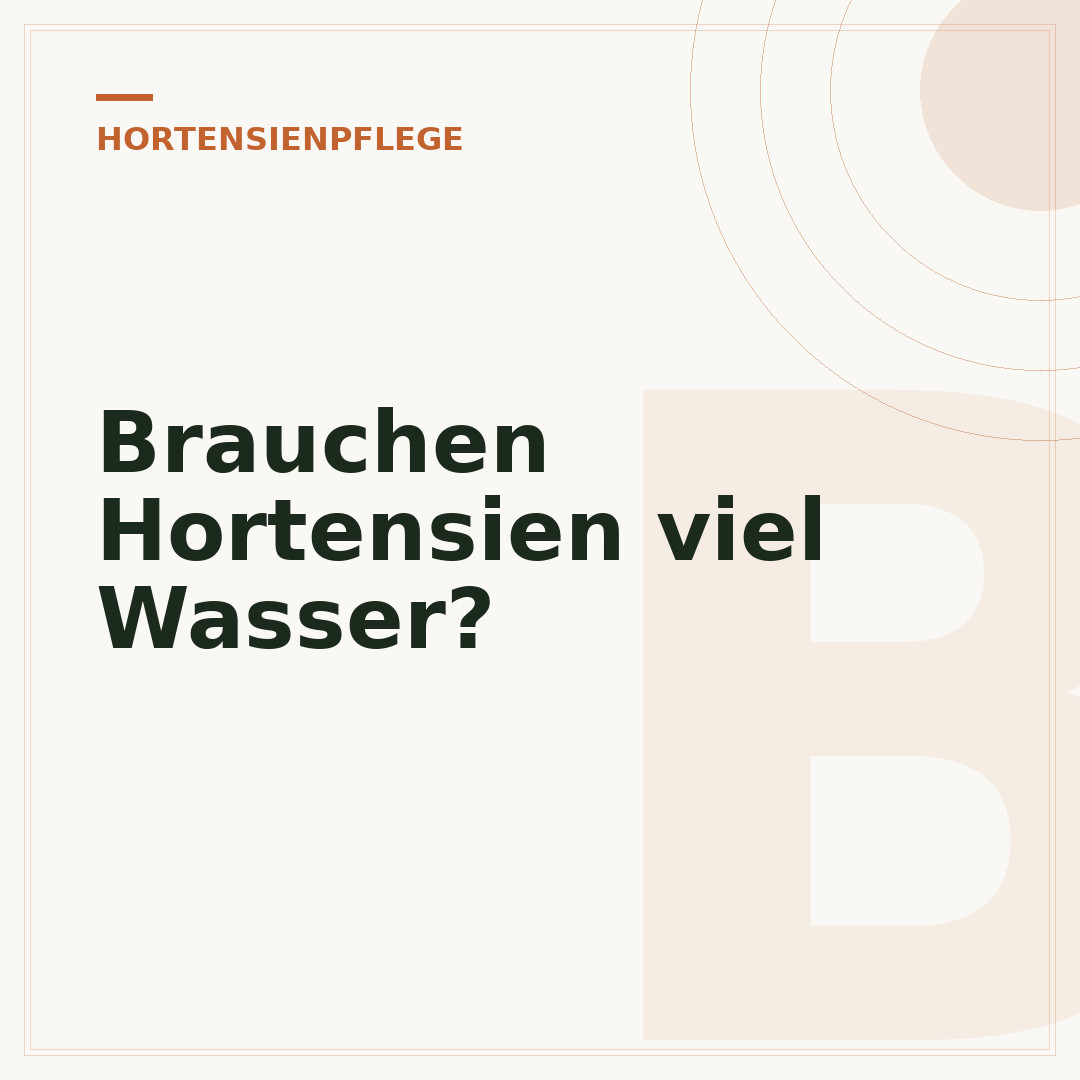 Brauchen Hortensien viel Wasser?