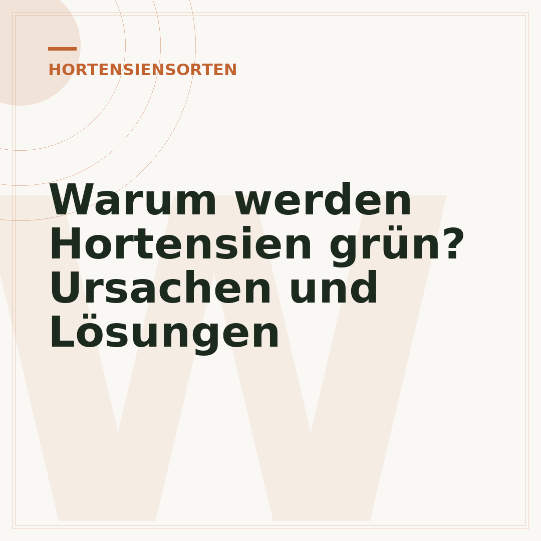 Warum werden Hortensien grün? Ursachen und Lösungen