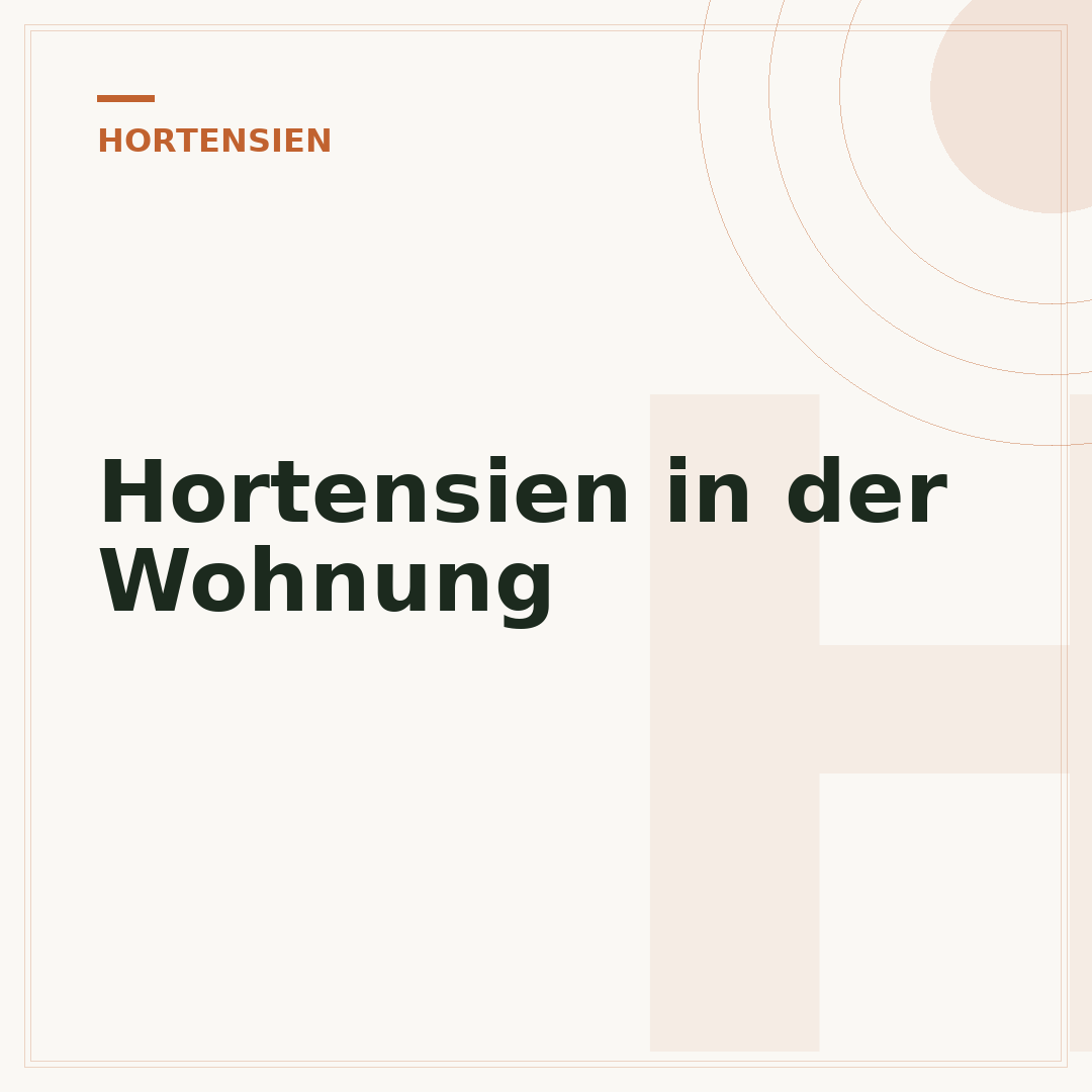 Hortensien in der Wohnung